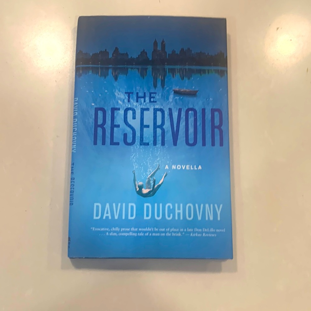 David Duchovny hardcover Novel “The Reservoir”